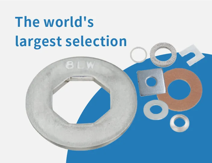 The world's largest selection